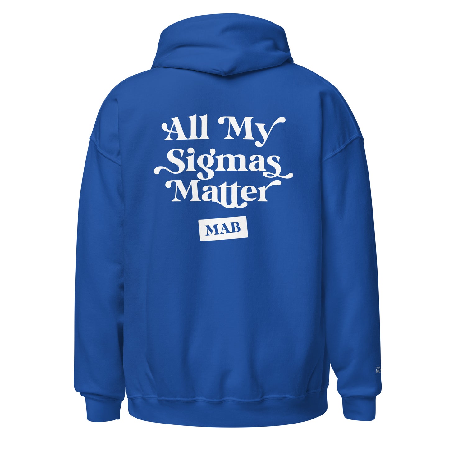 All my Sigmas Matter Hoodie