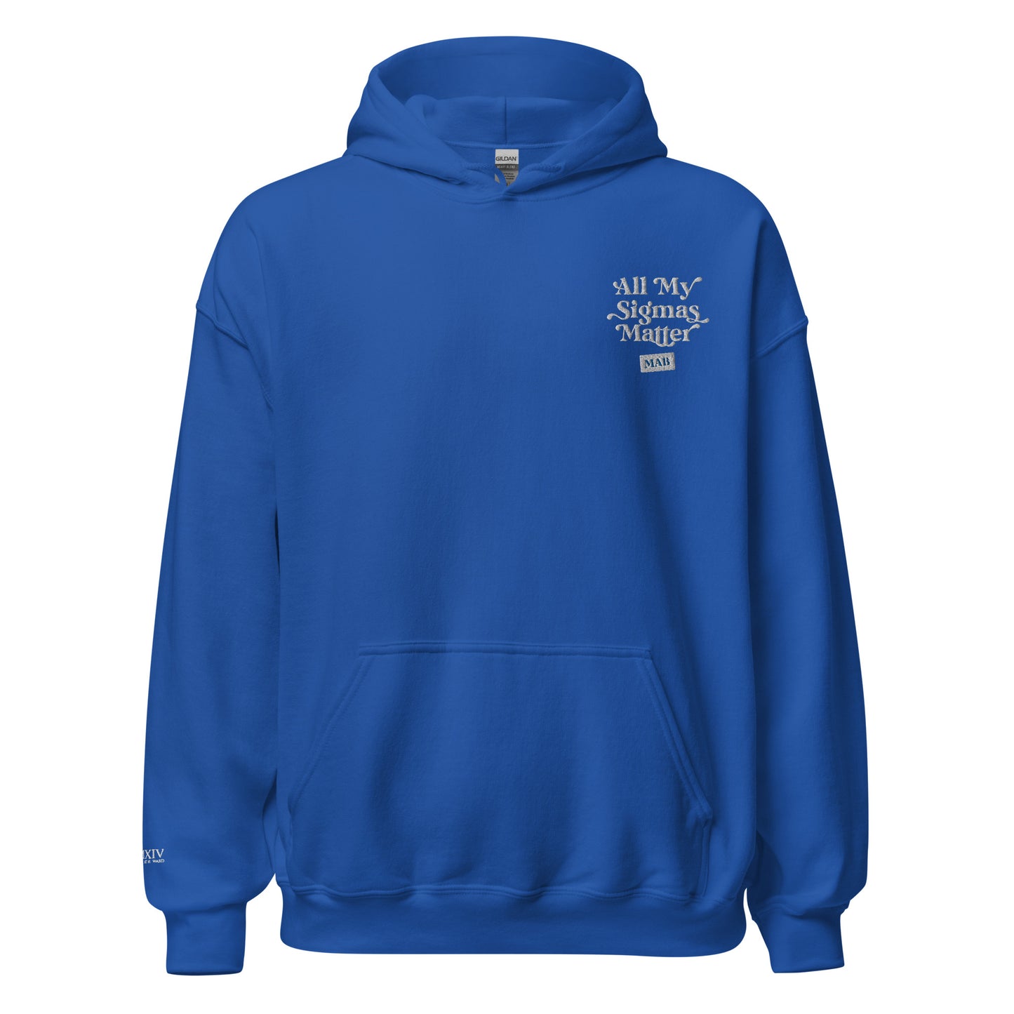 All my Sigmas Matter Hoodie